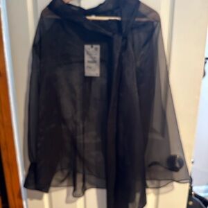 Zara Black Sheer Long-Sleeve Blouse